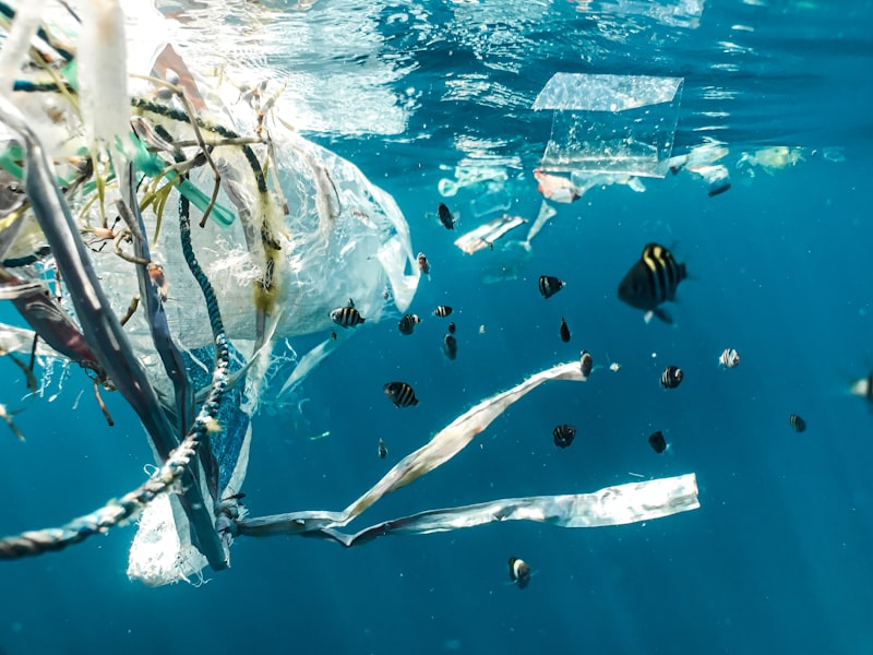 Herkömmliche Feuchttücher enthalten Chemie und Mikroplastik